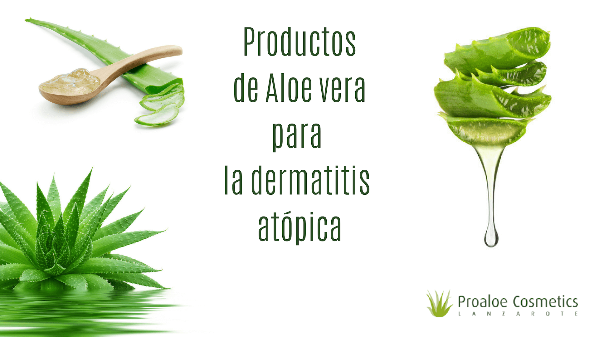 eco morfina detergente ✓ Cómo Calmar la Piel Atópica con Aloe Vera - ProAloe Cosmetics