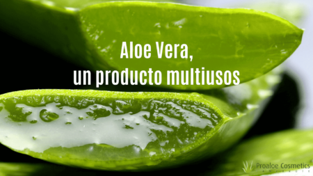 Aloe Vera, un producto multiusos