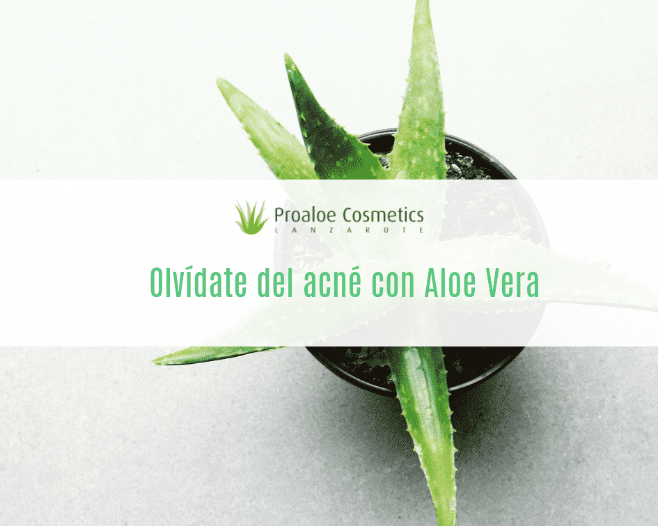 Adepto Médula feo ▷Beneficios del Aloe Vera para el Acné - Proaloe Cosmetics