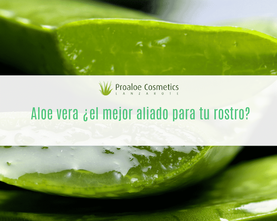 Aloe Vera para la Cara【Usos y Beneficios】- Cosmetics