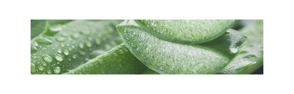 Sérum D'Aloe Vera