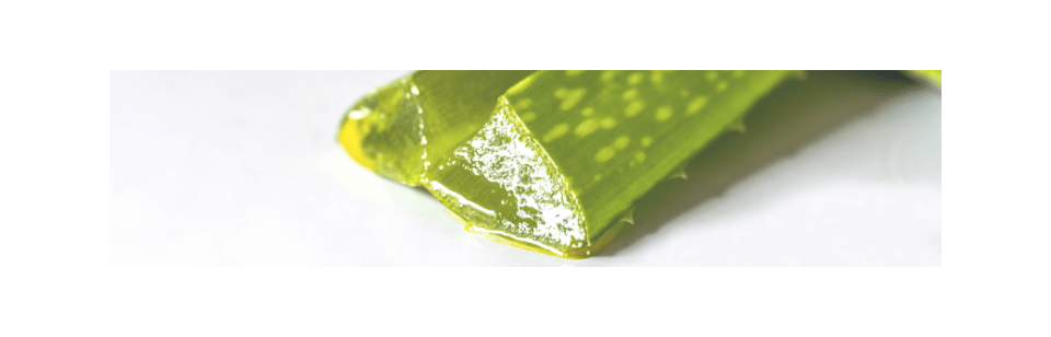 Productos de Aloe vera