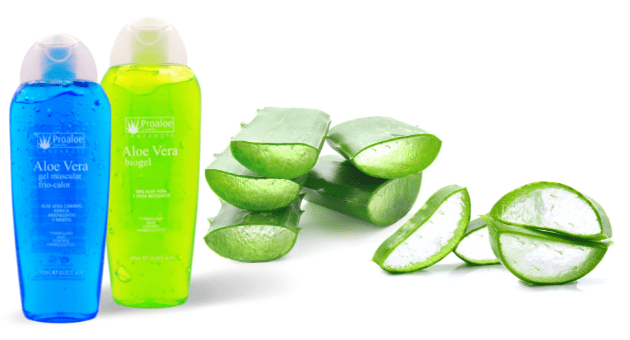 Aloe Vera 100% puro y natural al mejor precio